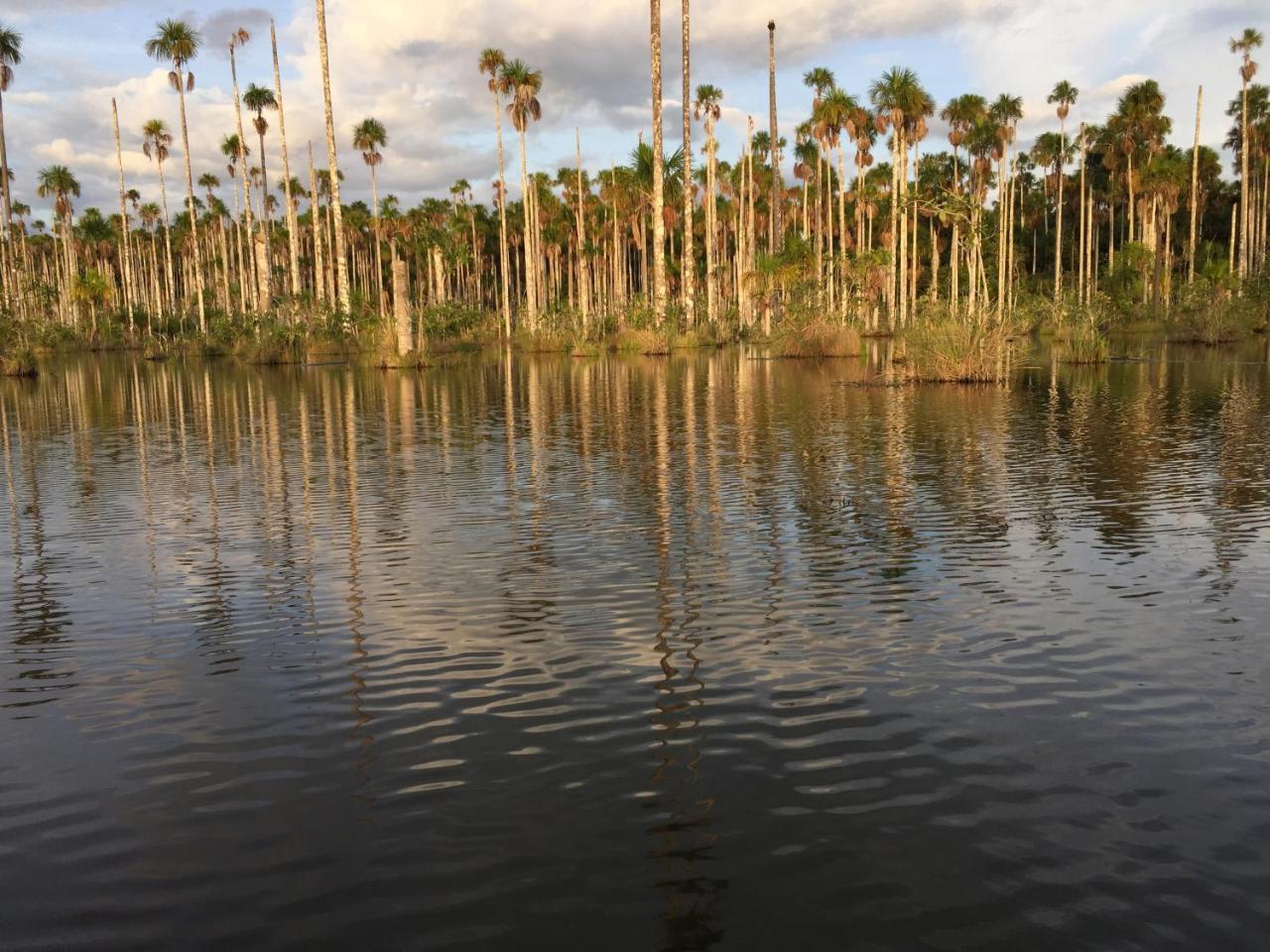 Hacienda Herrera Tambopata Puerto Maldonado Eksteriør billede